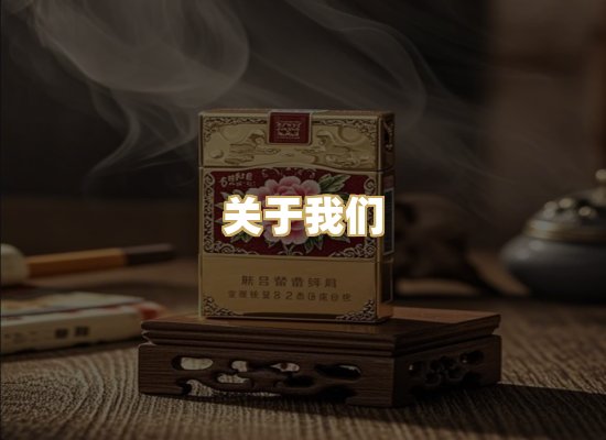关于我们
